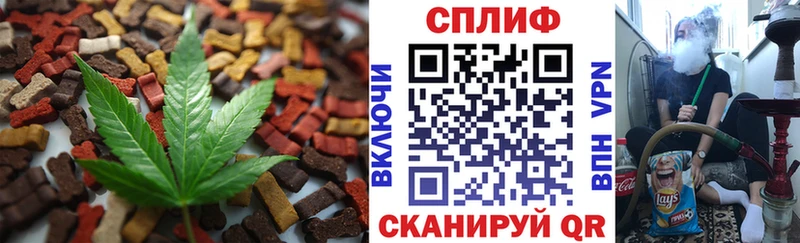 где найти наркотики  Злынка  Еда ТГК марихуана 