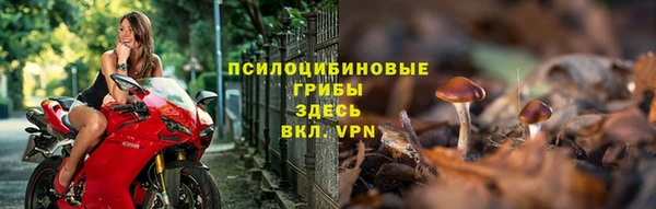 мяу мяу мука Алексеевка