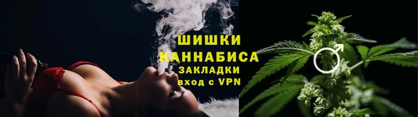 СК Кодинск