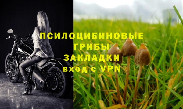jwh Алзамай