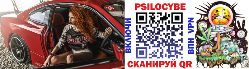 Псилоцибиновые грибы Psilocybe  Злынка 